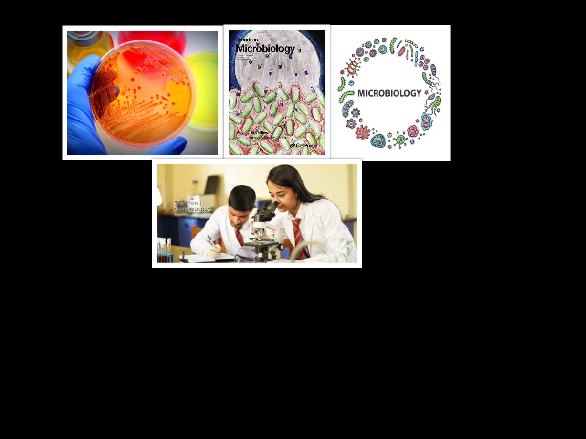 Department of Microbiology